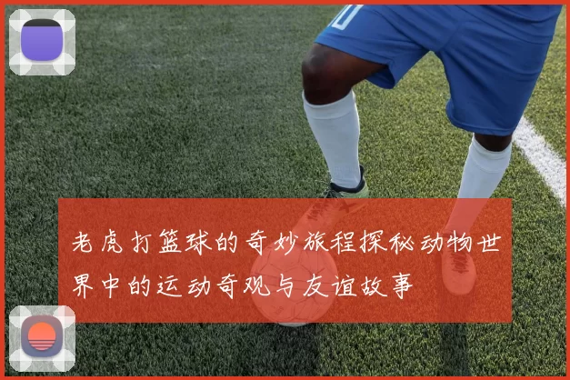 老虎打篮球的奇妙旅程探秘动物世界中的运动奇观与友谊故事