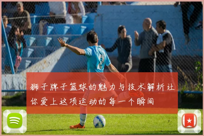 狮子牌子篮球的魅力与技术解析让你爱上这项运动的每一个瞬间