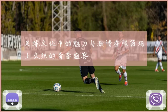 足球文化节的魅力与激情在绿茵场上交织的青春盛宴