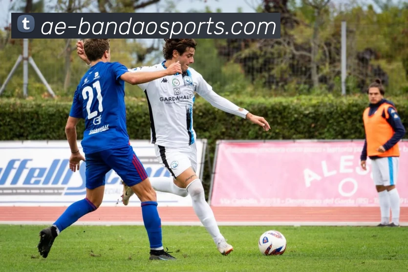 半岛体育APP 高清赛事图